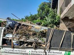 Best Yard Waste Removal  in Sleepy Eye, MN