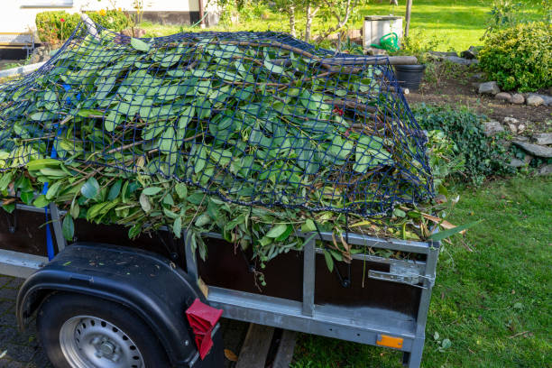 Best Hoarding Cleanup  in Sleepy Eye, MN